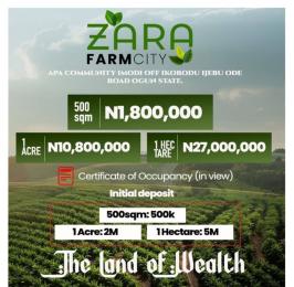 Residential Land For Sale Zara Farm Land, Apa Egbede Community, Imodi Ijasi, Ikorodu/ijebu Ode Road, Ogun State Ijebu Ode Ogun