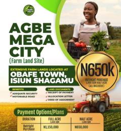 Land For Sale Obafe Town , Isiun Sagamu Ogun