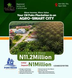 Mixed use Land For Sale Ado Odo, Ota Pilo, Ado Odo Ewekoro Ogun