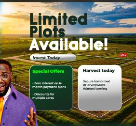 Commercial Land For Sale Havest Groove, Ayepe, Odogbolu Lga, Ogun State, Immediately After Epe Toll Gate. Ogun area 