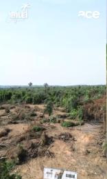 Residential Land For Sale Imota Ikorodu. Ikorodu Lagos Residential Land For Sale Imota Ikorodu. Ikorodu Lagos