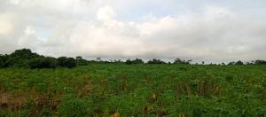 Residential Land For Sale Wonderland Garden 2.0 Iloti Close To Epe Toll Gate Ijebu Ode Ogun