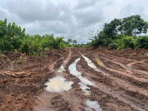 Mixed use Land For Sale Behind Amafor Market Ohaji/Egbema Imo