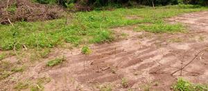 Residential Land For Sale Hallelujah Garden Estate Igbodu Close To Food Security Logistics Hub Epe Lagos