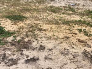 Residential Land For Sale Ubaka Leisure Estate, Agbogazi Nike Enugu Area 