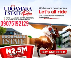 Land For Sale Ajaji Illa Asaba Asaba Delta Land For Sale Ajaji Illa Asaba Asaba Delta