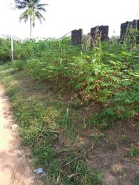 Land For Sale Umuelu Community Ohaji/Egbema Imo Land For Sale Umuelu Community Ohaji/Egbema Imo