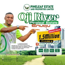 Land For Sale Pineleaf Estae Oji-River Enugu