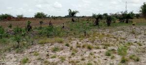 Residential Land Short let Sun City Phase1 Located At Ode Omi Via La Champagne Tropicana Ibeju-Lekki Lagos Residential Land Short let Sun City Phase1 Located At Ode Omi Via La Champagne Tropicana Ibeju-Lekki Lagos