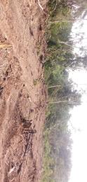Mixed use Land For Sale Green Garden Estate With Verified Title And Instant Allocation Ketu Epe Lagos