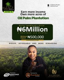 Mixed use Land For Sale About 30 Minutes From Sango Ota Or Abeokuta Sango Ota/Ado Odo Ogun