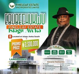 Land For Sale Eberechuku Pineapple Leaf Isi Agu Akwa Awka North Anambra
