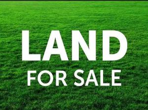 Residential Land For Sale Chevron Drive Lekki Lagos