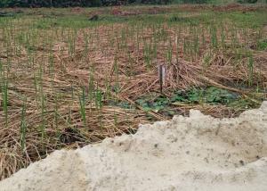 Residential Land For Sale Monastery Road Sangotedo Lagos