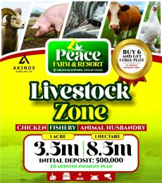 Commercial Land For Sale Livestock Farming With Farm Logistics For Animals And Feed Ajebo Obafemi Owode Ogun