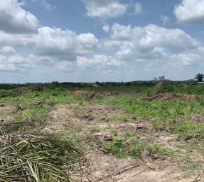 Mixed use Land For Sale Aviance Estate 25 Minutes From Sam Mbakwe International Airport Ngor-Okpala Imo