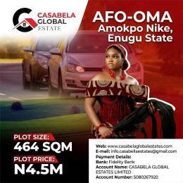 Residential Land For Sale Nkanu East Enugu