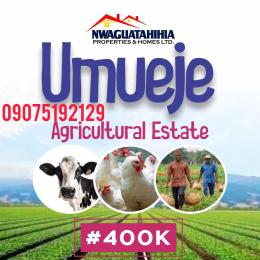 Land For Sale Umueje Anambra East 
