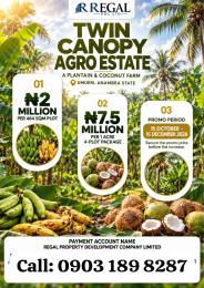 Commercial Land For Sale Umueri Anambra East 