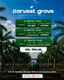 Commercial Land For Sale Harvest Groove Oil Palm City Located Immediately After Epe Tollgate Odogbolu Ogun