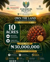 Commercial Land For Sale Flourish Oil Palm City Phase 2 Located In An Agric Area Biase Cross River