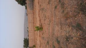 4 bedroom Residential Land For Sale Promise Land By Sunrise Water Park Asokoro Abuja Phase 1 