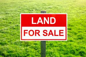 Land For Sale Gra Omole Omole Phase 2 Ojodu Lagos