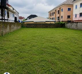 Residential Land For Sale Close To Trade Fair Complex Satelite Town Amuwo Odofin Lagos