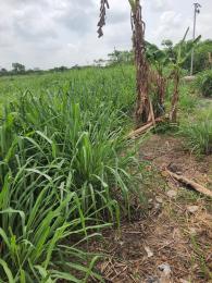 Mixed use Land For Sale Sagamu Papalanto Road Obafemi Owode Ogun