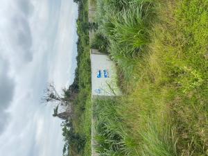 Residential Land For Sale Alasia Village Elerangbe Road. Eleran Igbe Ibeju-Lekki Lagos