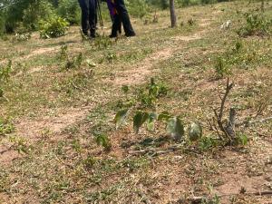 Mixed use Land For Sale Along Nnpc Road, Oke Oyi, Ilorin. Ilorin Kwara