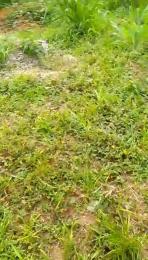 Land For Sale Isawo Okeoko Agric Ikorodu Ikorodu Lagos