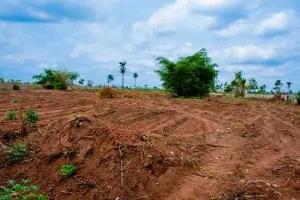 Land For Sale Along Onitsha Owerri Expressway, Beside Federal Road Safety Corp Owerri Imo Land For Sale Along Onitsha Owerri Expressway, Beside Federal Road Safety Corp Owerri Imo