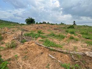 Mixed use Land For Sale Ogbaku Onitsha Owerri Express Owerri Imo