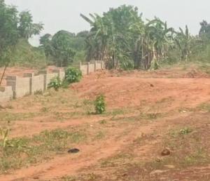 Mixed use Land For Sale Cedar Citt Estate Onuogba Nike/ameke Village, Mbulu Owo, By Emene Nnpc Depot Enugu Area 