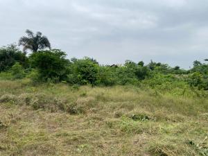 Residential Land For Sale Itokin Port Authority, Kaleb University, Epe Food Hub, Epe Lagos