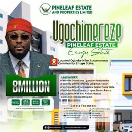 Residential Land For Sale Ugo Chimereeze Pineapple Leaf Estate, Ogbeke Nike Autonomous Community Enugu State Enugu Area 