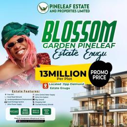 Residential Land For Sale Blossom Garden Leaf Estate, Opposite Diamond Estate Enugu Area 