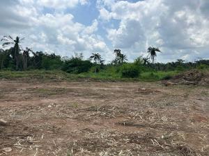 Mixed use Land For Sale Plethora City Estate Located At Igboye Directly Facing Express Epe Lagos Mixed use Land For Sale Plethora City Estate Located At Igboye Directly Facing Express Epe Lagos