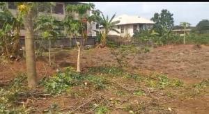 Residential Land For Sale Works Layout Owerri Owerri Imo