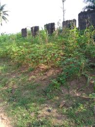 Land For Sale Ngor Okpala Directly Opposite Tony Chukwu's Manufacturing Company, Beside Zion Ministry Permanent Site Ngor-Okpala Imo Land For Sale Ngor Okpala Directly Opposite Tony Chukwu's Manufacturing Company, Beside Zion Ministry Permanent Site Ngor-Okpala Imo