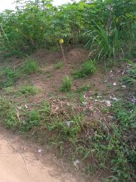 Land For Sale Ngor Okpala Directly Opposite Tony Chukwu's Manufacturing Company, Beside Zion Ministry Permanent Site Ngor-Okpala Imo Land For Sale Ngor Okpala Directly Opposite Tony Chukwu's Manufacturing Company, Beside Zion Ministry Permanent Site Ngor-Okpala Imo