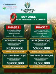 Commercial Land For Sale Flourish Oil Palm City Phase 1 Selling Fast Odigbo Ondo
