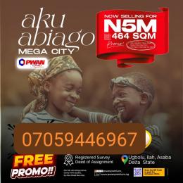 Mixed use Land For Sale Ugbolu Ilah Oshimili North Delta Mixed use Land For Sale Ugbolu Ilah Oshimili North Delta