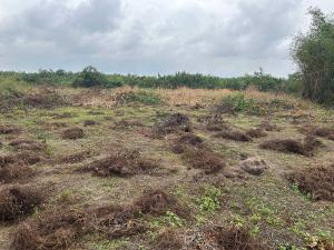 Residential Land For Sale Fountain Residences With 500% Roi Very Close Dangote Refinery La Campaigne Tropicana Ibeju-Lekki Lagos