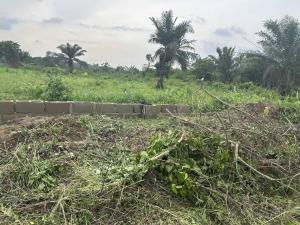 Mixed use Land For Sale Tomoba Epe Lagos Mixed use Land For Sale Tomoba Epe Lagos