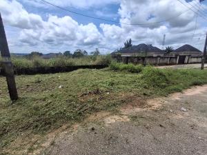 Residential Land For Sale Oruru Igwe , Govt. Station Layout Oguta Oguta Imo