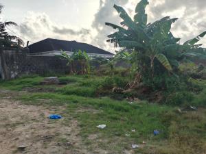Residential Land For Sale Peaceland Estate Etiosa Ogombo Ajah Lagos