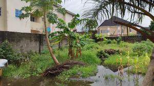 Mixed use Land For Sale Ajah Lagos