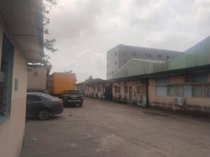 Warehouse For Sale Ladipo Oshodi Lagos State Ladipo Mushin Lagos